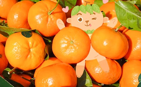 [��]���ӵ���������