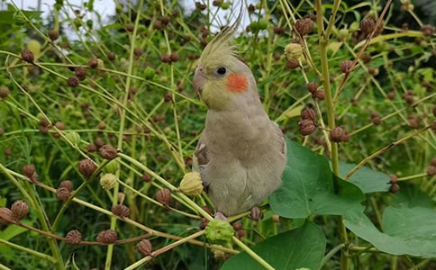 ���vɽ���W�^�ăr��