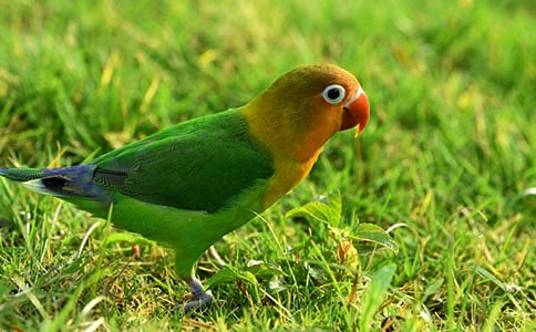 �����W�^��(y��ng)ԓ�����B(y��ng)��