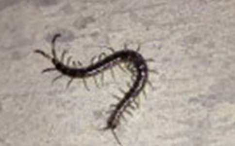 С����ħ��ЬͯԒ(hu��)����