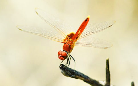 ���o(h��)��������