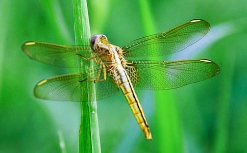 �����w���w�Ĺ���