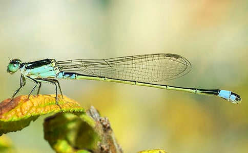 [����]׽��������