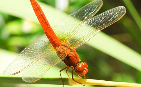 ���ѵ�Ъ���Z