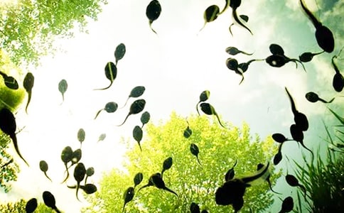 С�������ķ�����15ƪ��