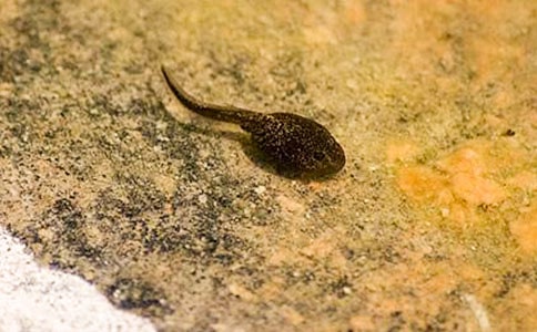 �ɐ۵�С������ġ�����15ƪ��