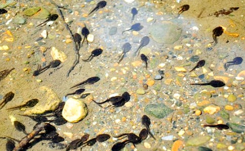 С�������