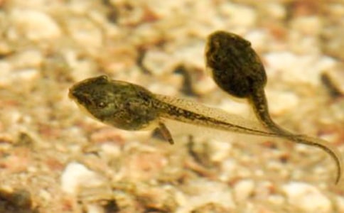 ������g(sh��)�̰���С���