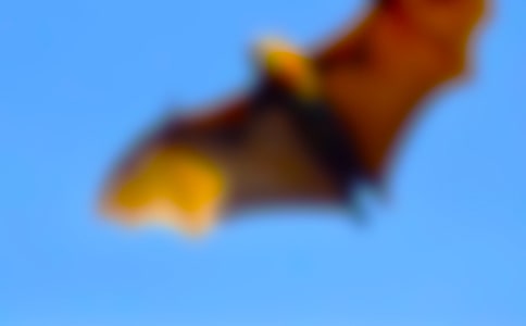 ����������_(d��)���n��