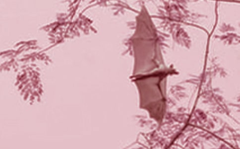 ������(zh��n)����3ƪ(�ϼ�)