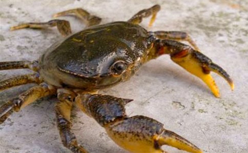 �V�|�з���������B