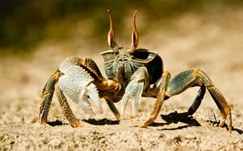 ׽�з����[�ϼ�15ƪ]