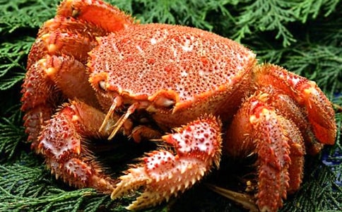 (推薦)捉螃蟹作文