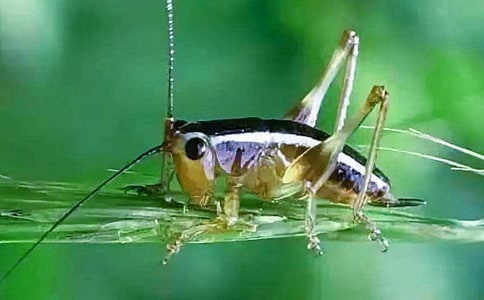 ׽������9ƪ(��(y��u)��)