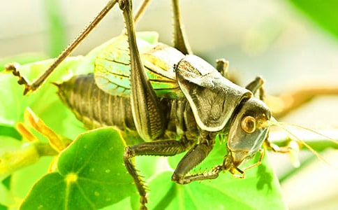 �󰺆(ji��n)��