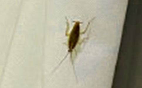 �Q��(zh��n)�������