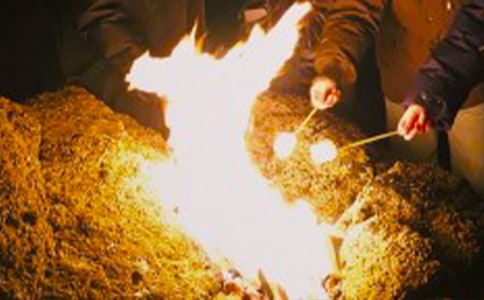 �������(hu��)���ă�(y��u)��[14ƪ]