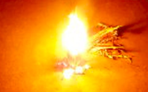 �������(hu��)���(d��ng)��������15ƪ