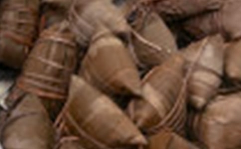 包粽子作文【熱門】