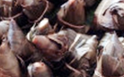 ���������ģ���(j��ng)�䣩