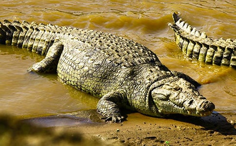 �{�~���ۜI����