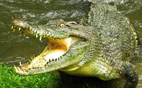 �P(gu��n)���{�~(y��)��ͯԒ���ģ����x20ƪ��