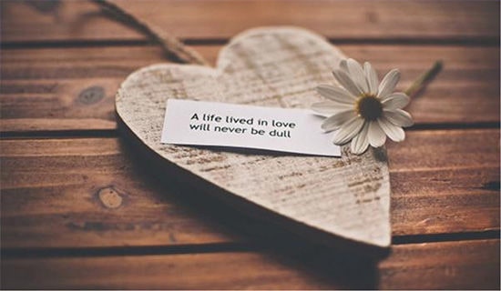 傷感愛情的詩句(精選500句)