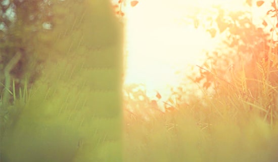 2023年簡(jiǎn)單的唯美古風(fēng)句子摘錄46條