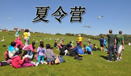 �o��������I����(l��)��һ����