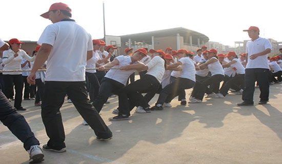 拔河比賽作文(通用34篇)