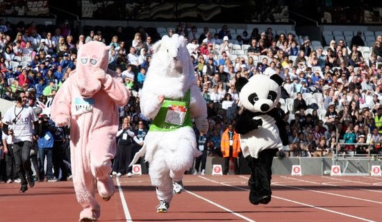 校運(yùn)動(dòng)會(huì)觀后感