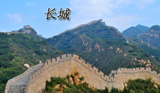 �L�ǌ�(d��o)���~1000�֣����x10ƪ��