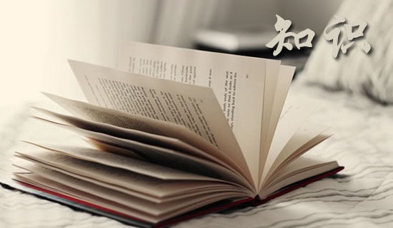 語(yǔ)文知識(shí)競(jìng)賽作文